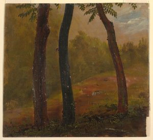 Woodland Scene, Jamaica av Frederic Edwin Church