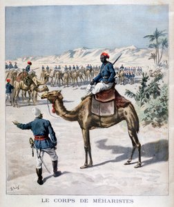 Meharistkropp, 1894