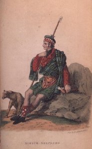 Scotch Shepherd från Ackermanns World i miniatyr