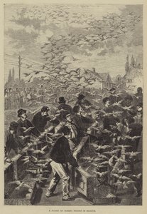 En flygning av målduvor i Belgien av Frederic Theodore Lix