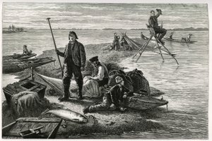 Laxfiske. Gravyr av F.Lix, för att illustrera berättelsen "Genom Alsace och Lorraine", 1884, av Charles Grad (1842-1890), tysk deputerad, författare och naturforskare. Publicerad i Le Tour du monde, nouveau journal des voyages, 2:a terminen 1885, redigerad av Frederic Theodore Lix