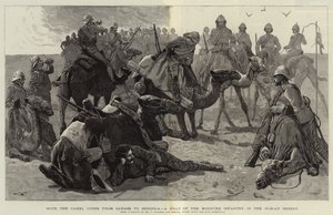Med kamelkåren från Sarass till Dongola, ett stopp för det beridna infanteriet i den nubiska öknen av Frederic Villiers