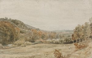 River Tamar, nära Endsleigh, Devon
