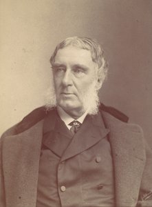 [Man med sidomorrhår], 1870-80-tal.