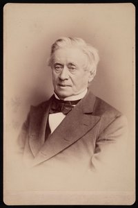 Porträtt av Joseph Henry 1797-1878, 1876.
