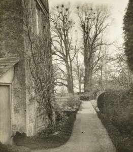 Kelmscott Manor: I trädgården av Frederick H. Evans
