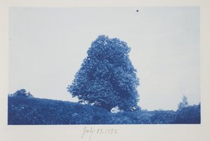 Namnlös, 19 juli av Frederick K. Coulson