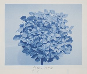 Utan titel, 1 juli
