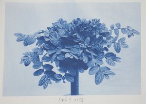 Namnlös, 9 oktober av Frederick K. Coulson