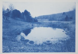 Utan titel, sent 1800-tidigt 1900-tal (cyanotyp på krämvävt papper)