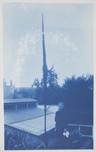 Utan titel, sent 1800-tidigt 1900-tal (cyanotyp på krämvävt papper)