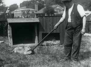 En lejonunge som leker med en mopp, hållen av sin skötare, på gräset framför sin håla, London Zoo, september 1925 av Frederick William Bond