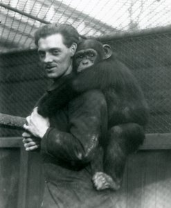En man bär schimpansen Sally på ryggen, London Zoo, 1924 av Frederick William Bond