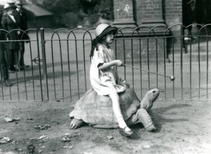 En liten flicka, Betty, håller fram en pinne med ett äpple på änden för att leda jättesköldpaddan hon rider, London Zoo, 1924 av Frederick William Bond