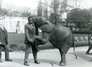 En ung afrikansk pygméelefant står på bakbenen för att omfamna sin afrikanska tränare, medan målvakten tittar på, London Zoo, juli 1925 av Frederick William Bond