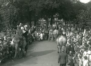 Elephant Rides, med tre asiatiska elefanter som tittade på av massor av åskådare på London Zoo i augusti 1926 (s/v foto) av Frederick William Bond
