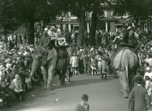 Elephant Rides, med två asiatiska elefanter som tittade på av massor av åskådare på London Zoo i augusti 1926 (s/v foto) av Frederick William Bond