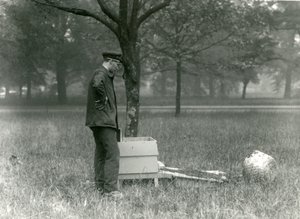 Keeper Brown flyttar en svärm av honungsbin, London Zoo, juli 1926 av Frederick William Bond