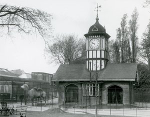 Kamelhuset. London zoo av Frederick William Bond