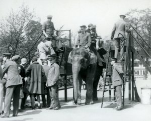 Besökare som köar för en elefantritt medan andra går ombord, med hjälp av fem djurhållare, London Zoo, 1927 av Frederick William Bond