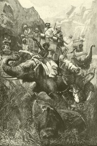 Tigerjakt i Indien (gravyr)