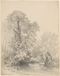 Träd vid floden vid Castle Bromwich av Frederick William Watts