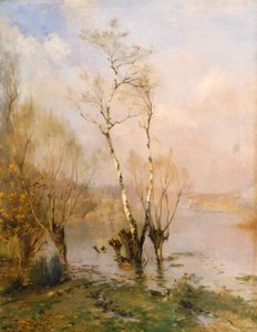 Björkarna, av Federico Rossano av Frederico Rossano