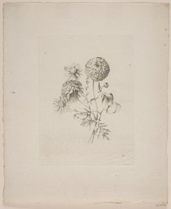 Blommotiv