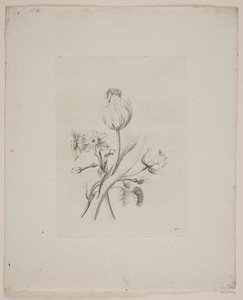 Blommotiv