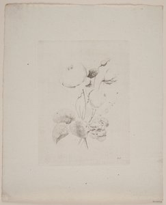 Blommotiv