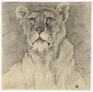 Framsidan av sittande lejoninna av Frederik William Zurcher