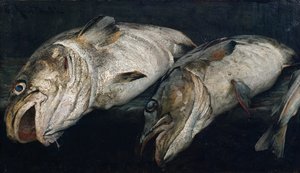 Torsk av Fredrik Kolstoe
