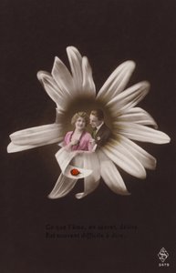Ett ungt par i mitten av en blomma med nyckelpiga (tonat fotocollage) av French Photographer
