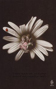 Ett ungt par i mitten av en blomma med nyckelpiga (tonat fotocollage) av French Photographer