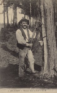Arcachon, Resinier i skogen av French Photographer