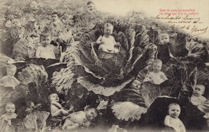 Bebisar i kållappen (fotocollage) av French Photographer