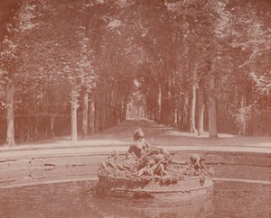 Basin of Flora, Versailles Park (s/v foto) av French Photographer