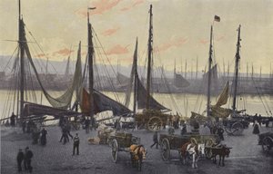 Boulogne-sur-Mer, Förberedelser för sillfiske av French Photographer