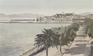 Cannes, hamnen och gamla stan, Boulevard de la Croisette av French Photographer