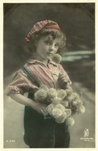 Barn med en massa blommor av French Photographer