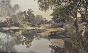 Fontainebleau, Skog, Mare de Franchard av French Photographer