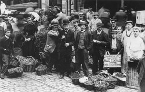 Trädgårdsmästare på Les Halles-marknaden, Paris, 1907 av French Photographer