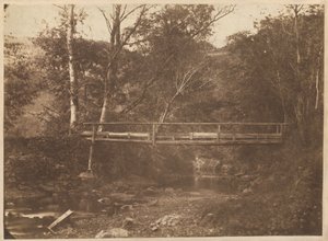 Landskap med träd och bro,ca. 1850 (foto) av French Photographer