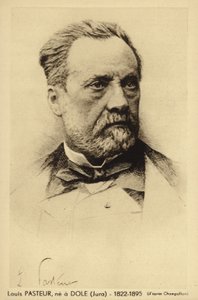 Louis Pasteur (1822-1895), fransk kemist och mikrobiolog av French Photographer