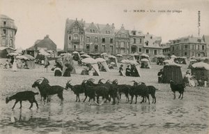 Mers - en del av stranden. Vykort skickat 1913. av French Photographer