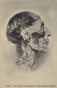 Mamma av Ramses II av French Photographer