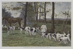 Paket med hundar av Baron de Carayon-Latour i Virelade, Frankrike (färgfoto) av French Photographer