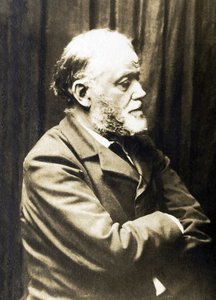 Porträtt av Henri Fantin Latour (Fantin-Latour av French Photographer