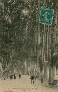 Promenad av platanerna i Perpignan. Vykort skickat 1913. av French Photographer
