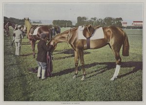 Tävlingshästar i Deauville, Frankrike (färgfoto) av French Photographer